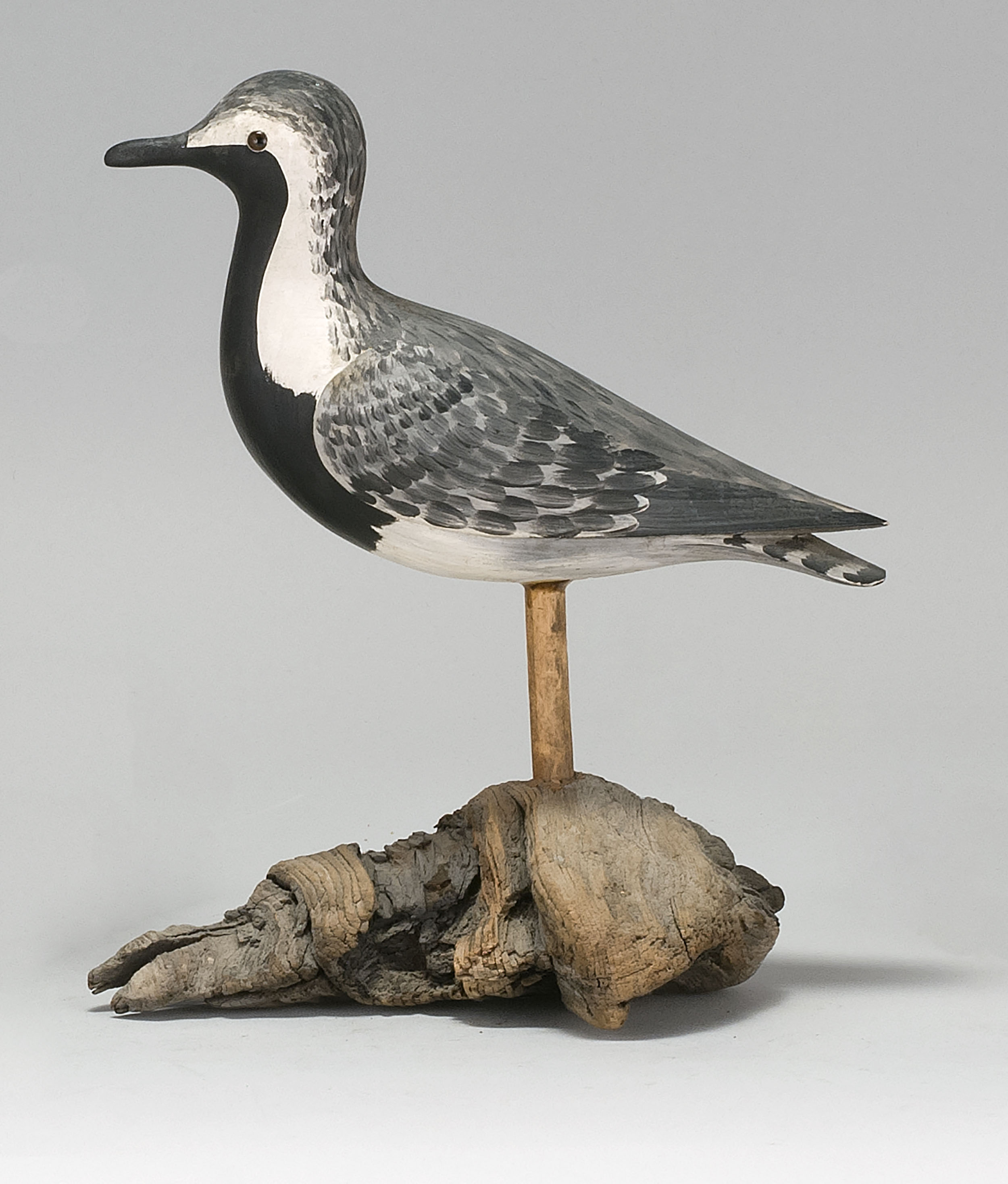 Appraisal: LIFE-SIZE BLACK-BELLIED PLOVER DECOY th CenturyBy Alvin A White of