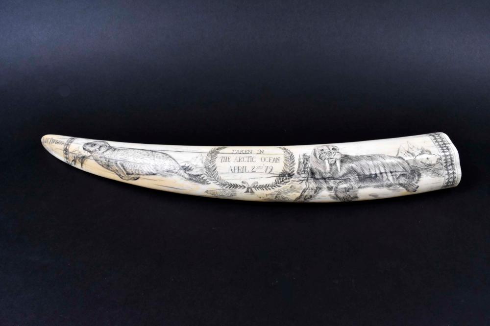 Appraisal: INUIT ETCHED WALRUS TUSKCirca Signed Bark Reindeer Depicting a walrus