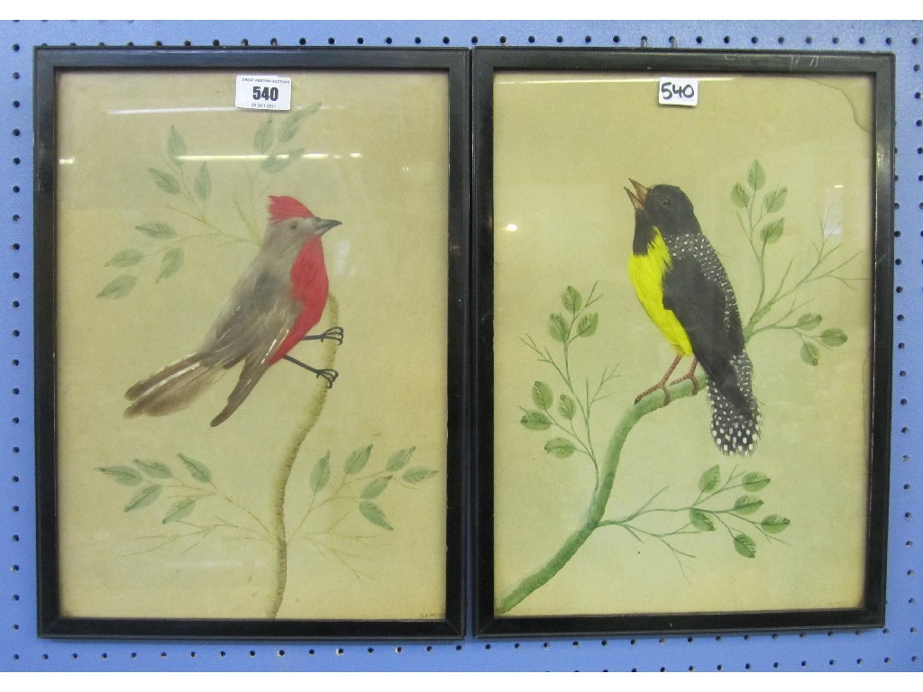 Appraisal: Pair of watercolour and feather pictures of birds