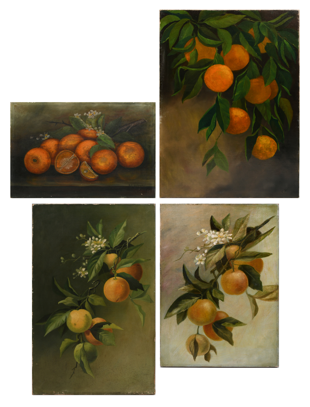 Appraisal: FOUR FLORIDA ORANGE PAINTINGS Oranges with a Branch Oil Canvas