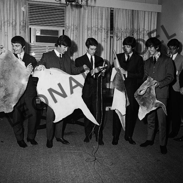 Appraisal: THE BEATLES HOLDING UP ANIMAL SKINS AT CONFERENCE RECEPTION II