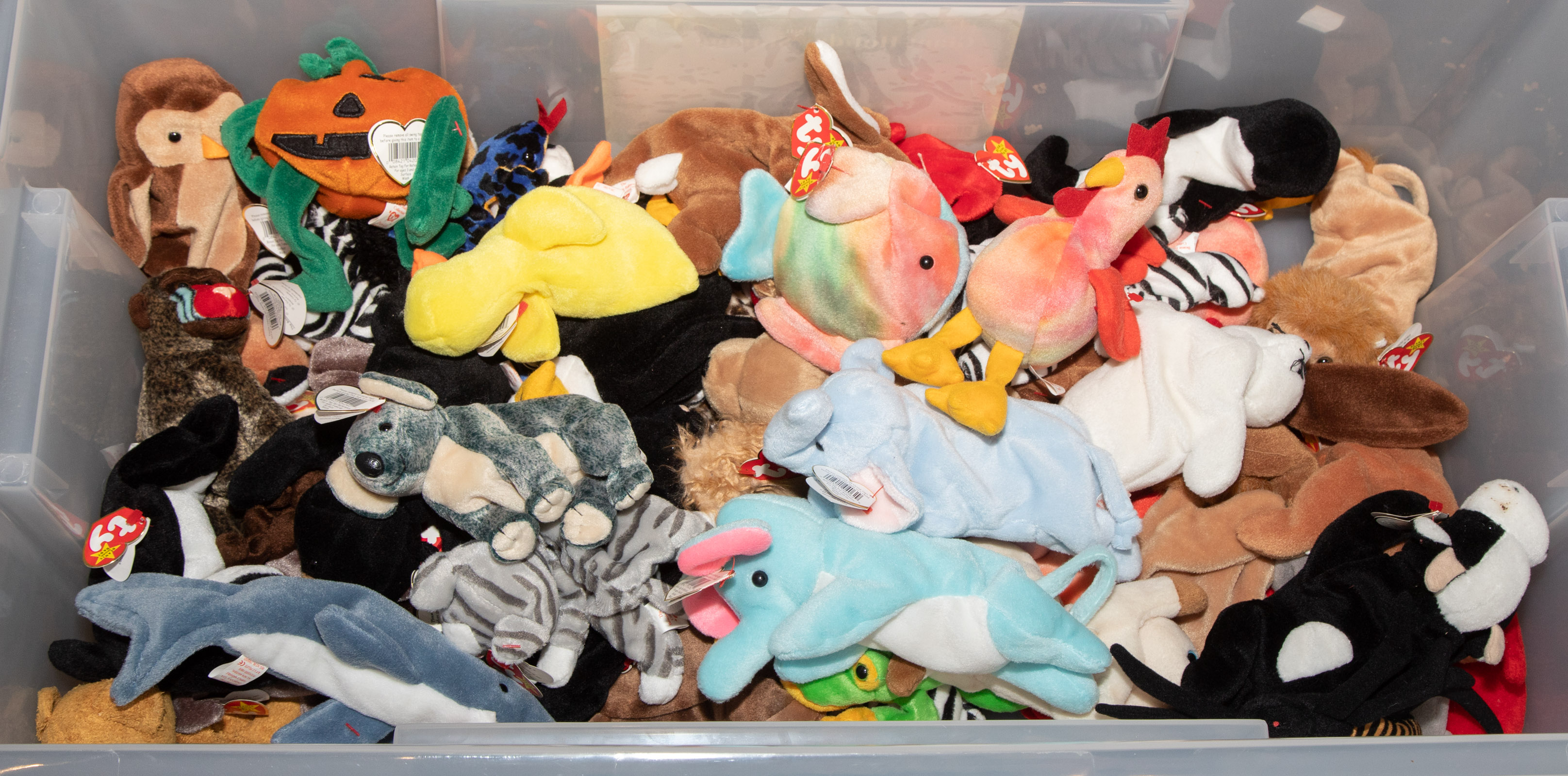 Appraisal: LARGE SELECTION OF TY BEANIE BABIES Includes bears fish cats