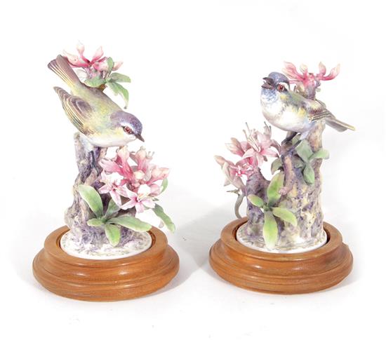 Appraisal: Pair Dorothy Doughty Red Eyed Vireo Royal Worcester circa with