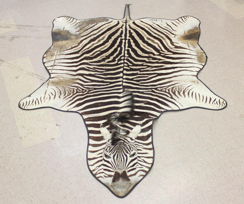 Appraisal: AFRICAN ZEBRA SKIN FLOOR RUG custom black leather backing x