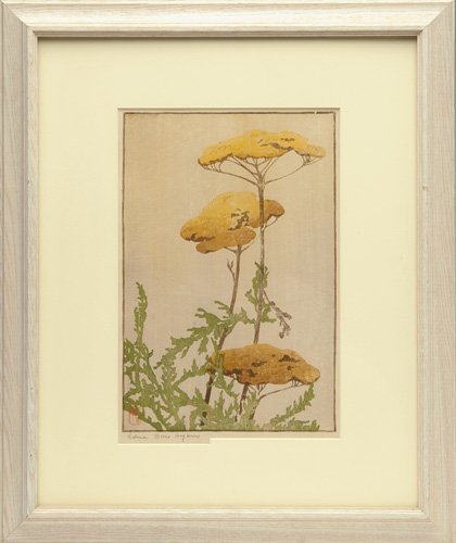 Appraisal: EDNA BOIES HOPKINS Color woodblock print of golden yarrow Matted