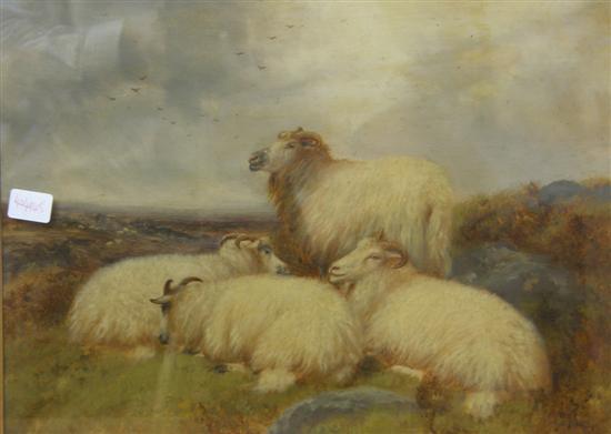 Appraisal: R Watson sheep in highland landscape oil on board h