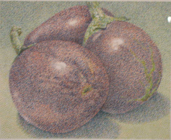 Appraisal: JERRY WILKERSON AMERICAN - EGGPLANT watercolor on paper signed and