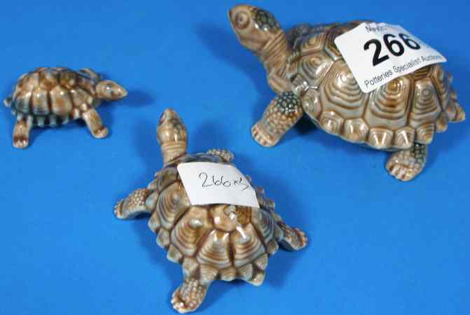 Appraisal: Wade set of three tortoises Large Medium and Small