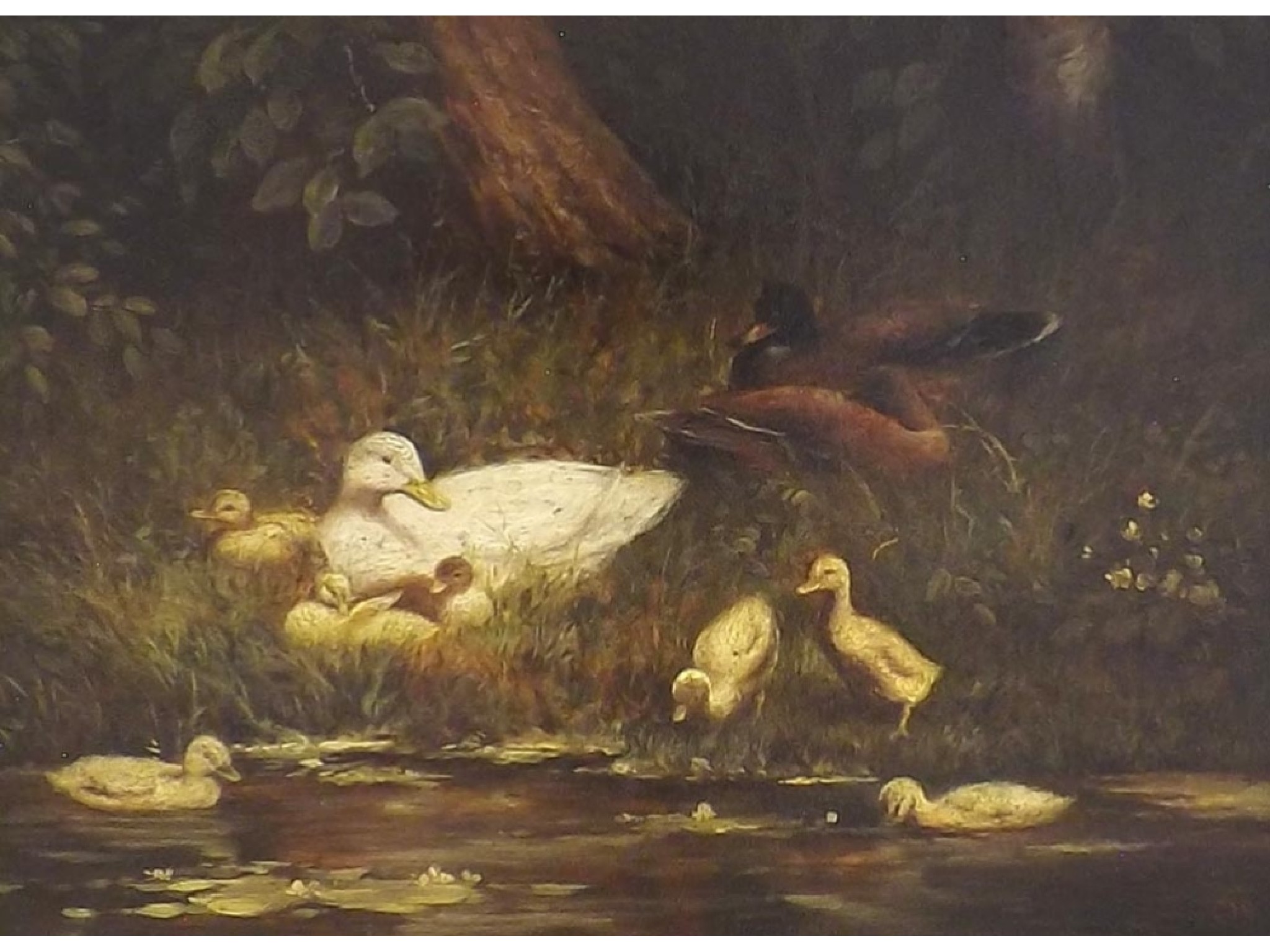 Appraisal: J G van Os th th century Continental - Ducks