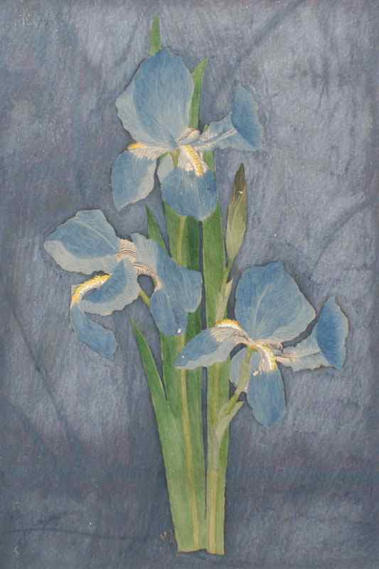 Appraisal: KENNARD Waldo American th th Century Study of Irises Watercolor