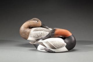 Appraisal: Preening Canvasback Pair James Corb Reed - Chincoteague VAc A