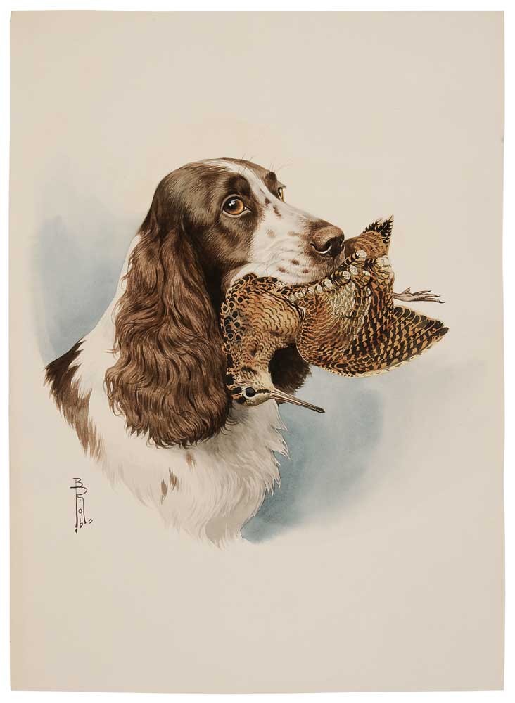 Appraisal: Boris Riab French Russian - English Springer Spaniel with Woodcock