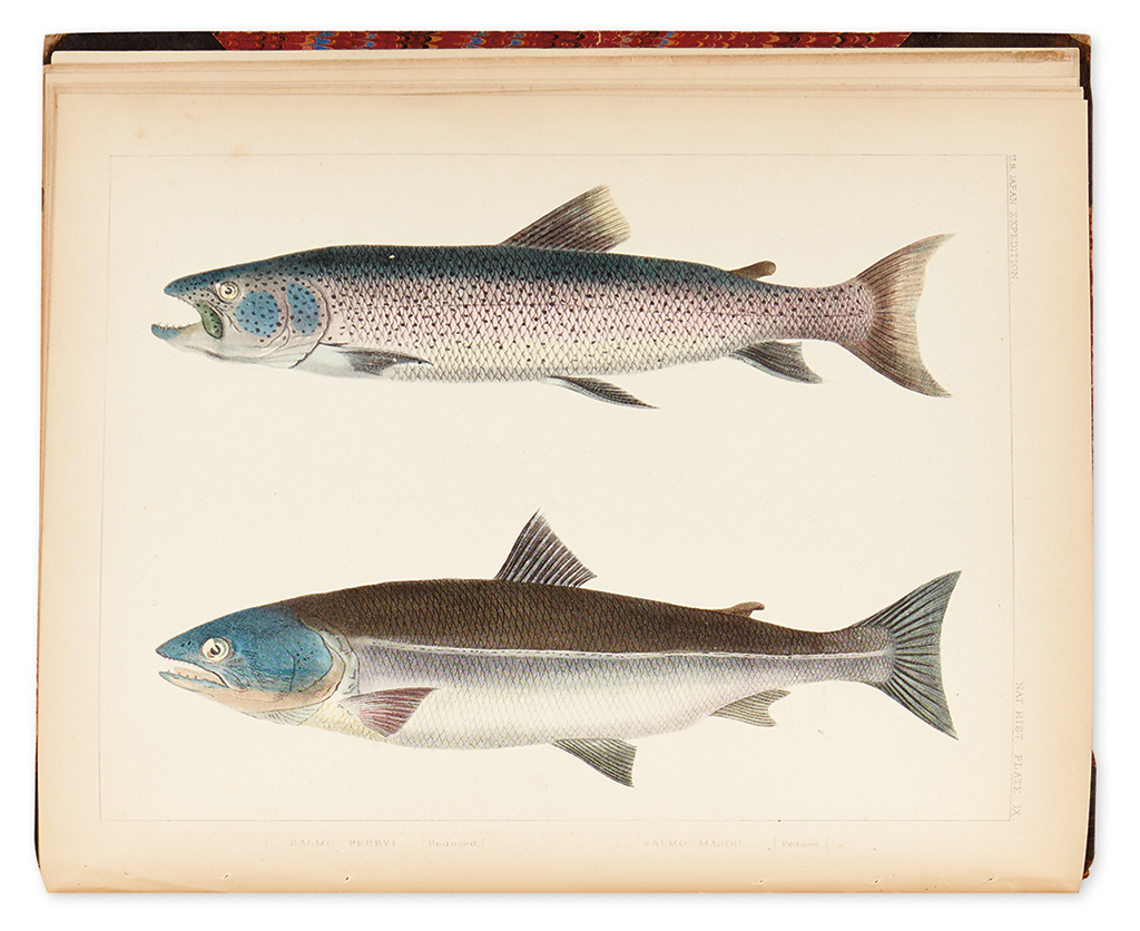 Appraisal: NATURAL HISTORY - FISH Brevoort James Carson Notes on Some