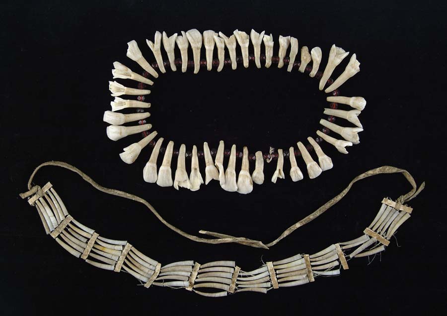 Appraisal: DENTALIA CHOKER NECKLACE AND STRING OF BUFFALO TEETH PLAINS LATE