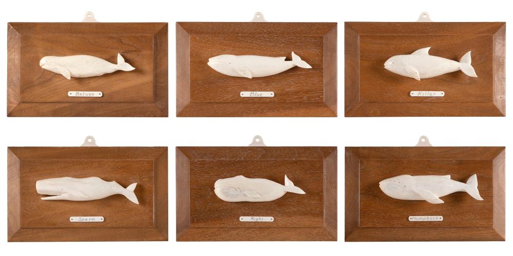 Appraisal: SET OF SIX CARVED WHALEBONE WHALE PLAQUES BY ALETHA MACY