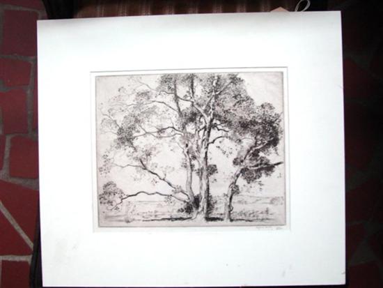 Appraisal: Alfred Hutty New York Charleston - TREES etching unframed signed