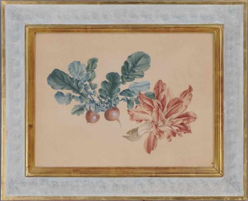 Appraisal: EUROPEAN SCHOOL TH TH C MANGUSTIN STUDY OF VEGETABLES Watercolor