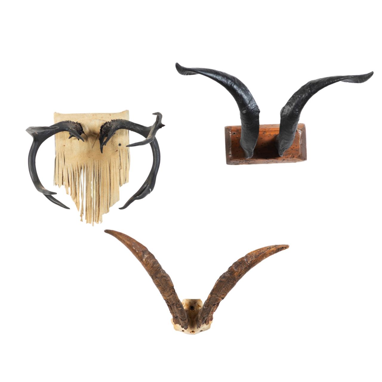 Appraisal: THREE MOUNTED ANIMAL HORN AND ANTLER TROPHIES Group of three