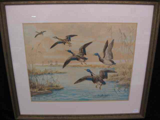 Appraisal: Paul Wood Drypoint Etching mallards in flight pencil signed image