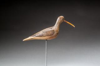 Appraisal: Eskimo Curlew by Mark S McNair b Mark S McNair