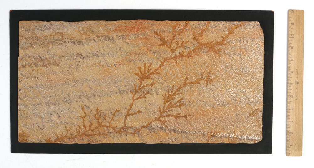 Appraisal: FERN FOSSIL WALL PANEL Prehistoric fossilized fern in sandstone ''