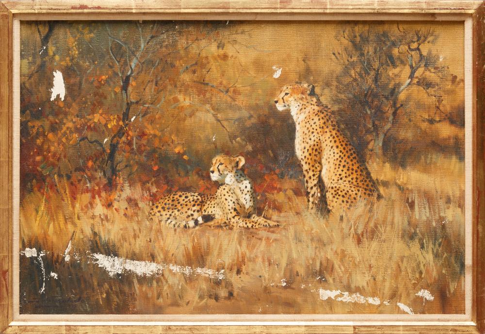 Appraisal: Dino Paravano Italian South Africa b Cheetahs in Mopani Bush