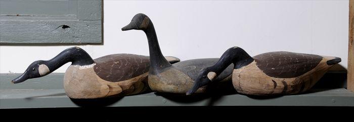 Appraisal: THREE PAINTED WOOD CANADIAN GEESE DECOYS Largest in