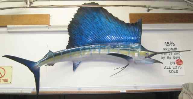 Appraisal: TWO REPLICA PACIFIC BILLFISH TROPHY MOUNTS ' '' blue marlin