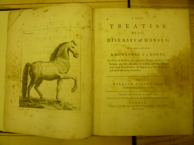 Appraisal: A NEW TREATISE ON THE DISEASES OF HORSES William Gibson