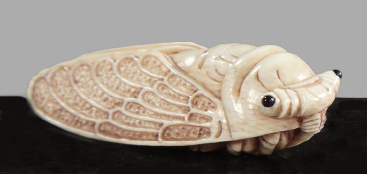 Appraisal: Japanese Meiji Carved Ivory Figure of a Cicada fourth quarter