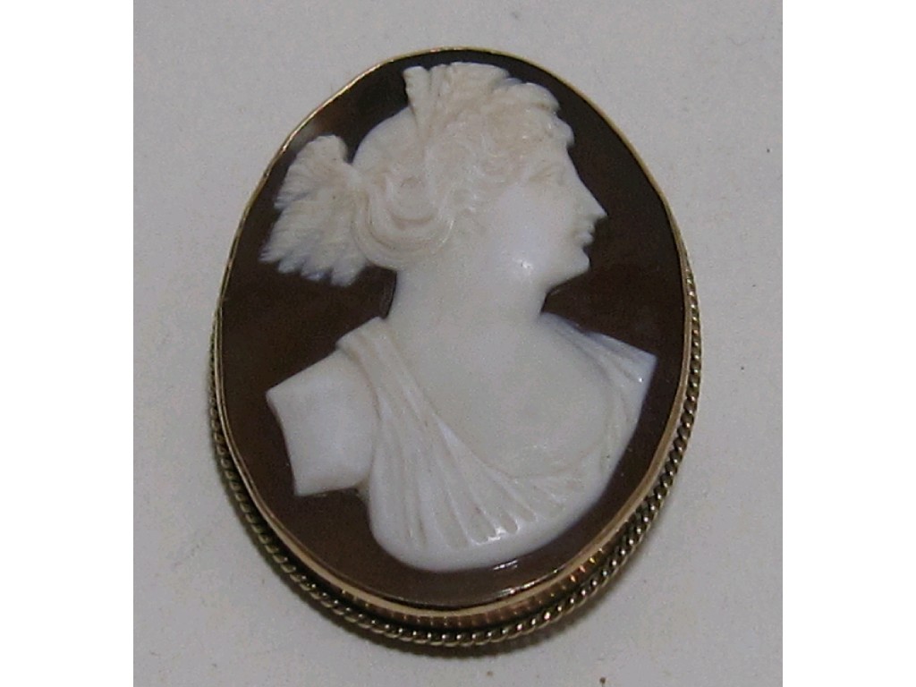 Appraisal: Nine carat gold mounted cameo brooch