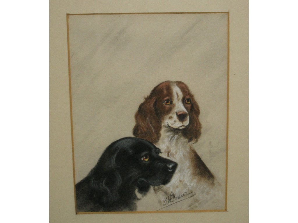 Appraisal: L W FRASER Pastel of two spaniels signed