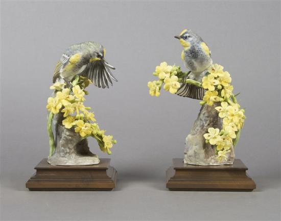 Appraisal: A Pair of Royal Worcester Dorothy Doughty Birds Audubons Warbler