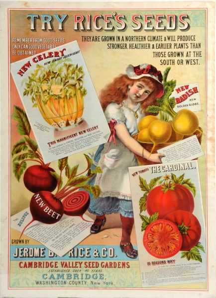 Appraisal: Paper Rice's Seeds Advertising Poster Description Circa - Jerome B