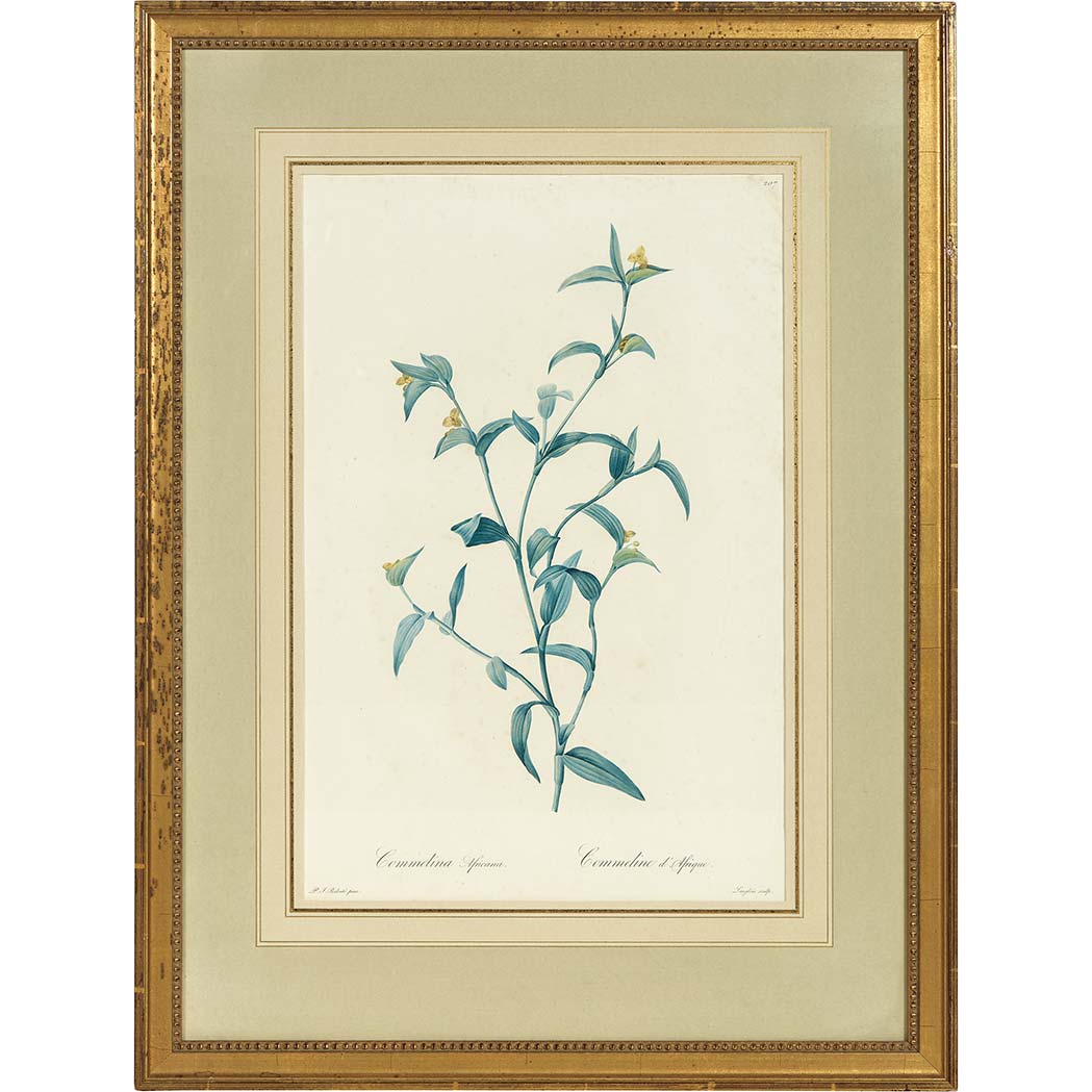 Appraisal: After Pierre-Joseph Redoute - FLOWER STUDIES Eight hand-colored color stipple