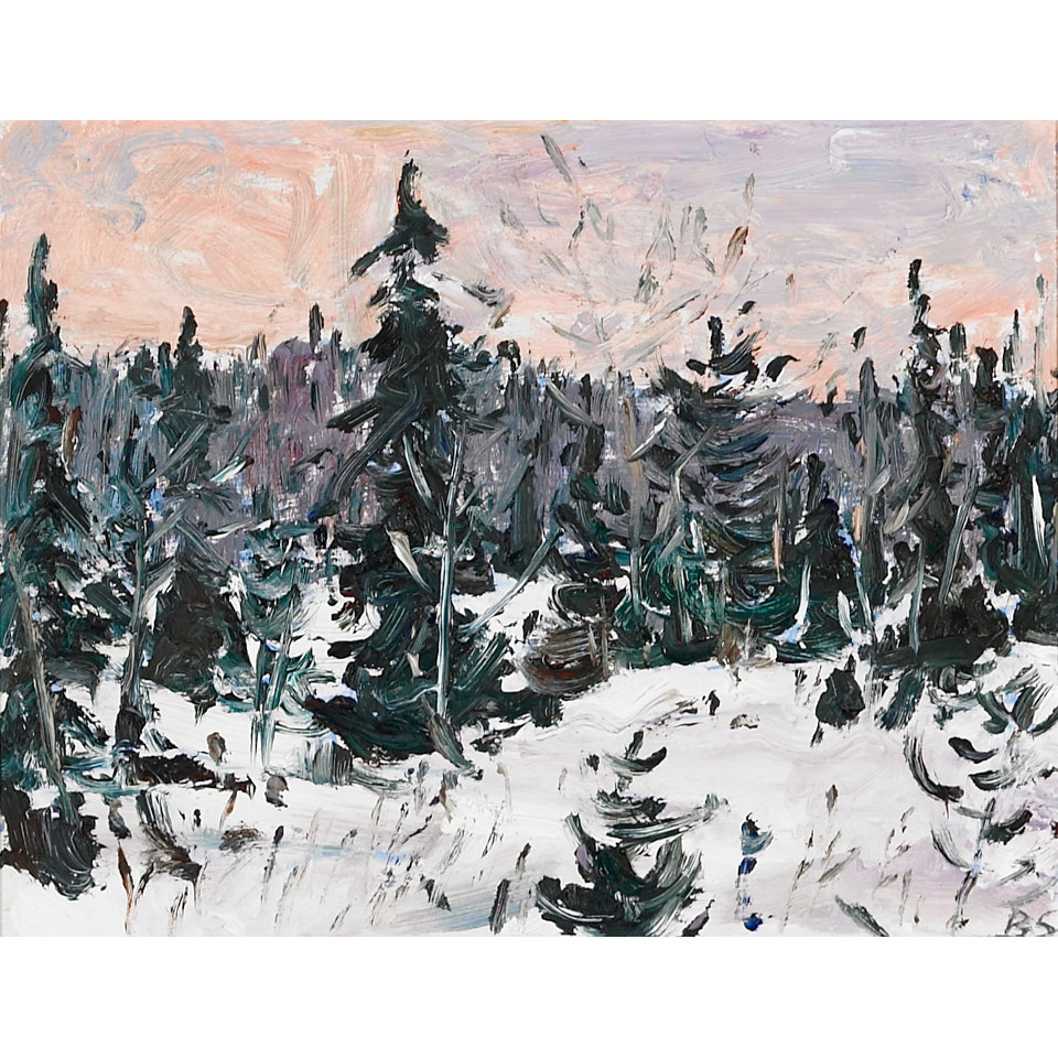 Appraisal: BRUCE STEINHOFF LAKE SUPERIOR WINTER signed with initials Roberts Gallery