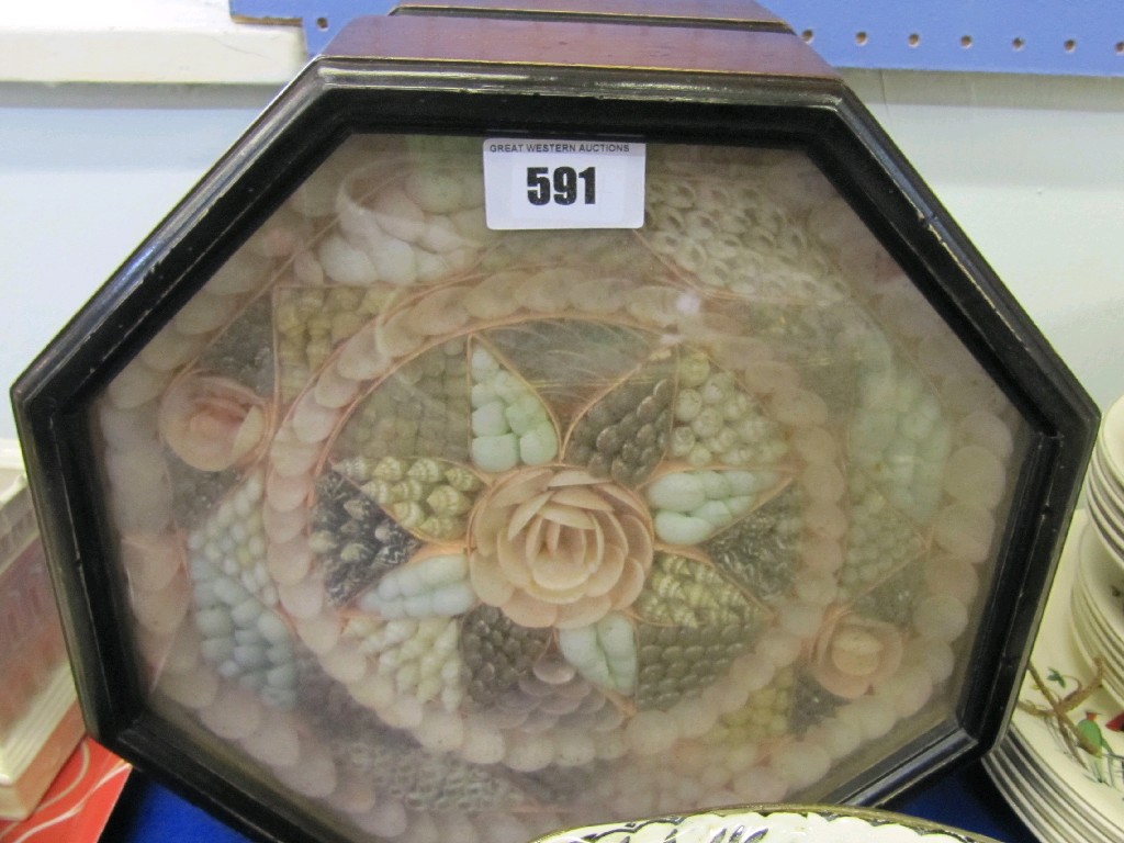 Appraisal: Two wooden and glazed cased shell display pictures