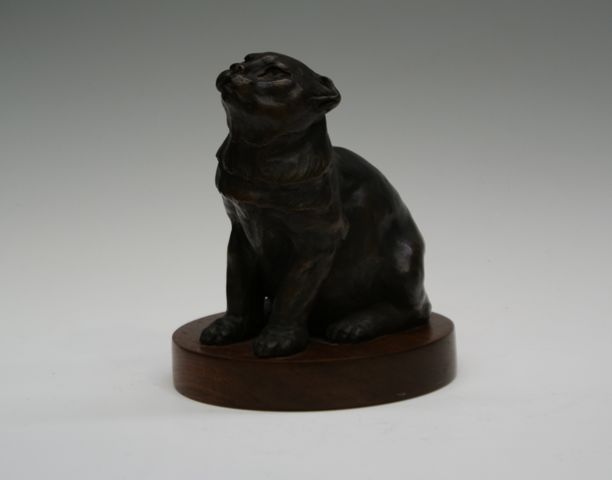 Appraisal: Barbara Tribe - Persian Cat bronze inscribed 'Barbara Tribe '