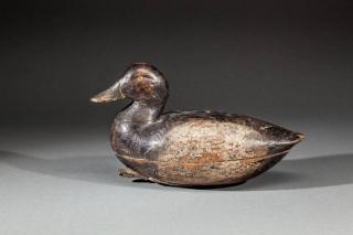 Appraisal: Bluebill Drake Ocean City NJc A hollow decoy with carved