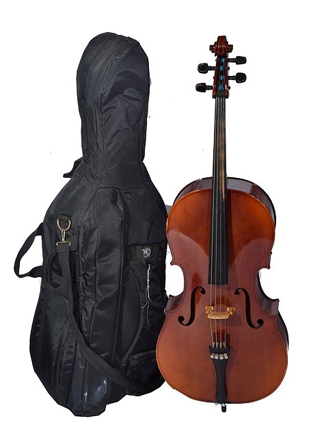 Appraisal: A MODERN CZECH CELLO TATRA by Rosetti in carrying case