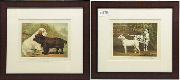 Appraisal: A set of six English framed colored prints from 'Cassell's