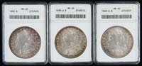 Appraisal: THREE GRADED CASED MORGAN SILVER DOLLARS Graded by ANACS MS