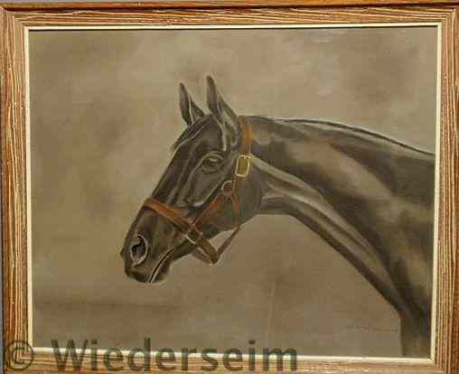 Appraisal: Pastel equine portrait signed l r Celeste McNeal Van Lennet