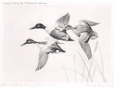 Appraisal: Gromme Federal duck stamp print Northern Shovelers with stamp signed