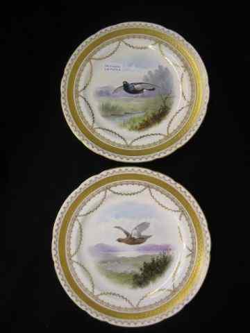 Appraisal: Pair of Minton Handpainted Porcelain BirdPlates gamebirds in flight outstanding