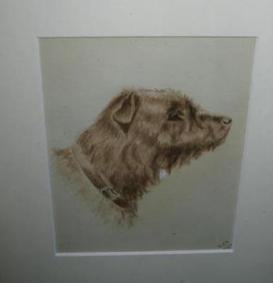 Appraisal: ENGLISH SCHOOL Portrait of a Terrier signed with initials A