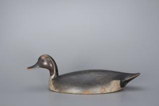 Appraisal: Early Swimming Pintail DrakeJohn R Wells Early Swimming Pintail Drake