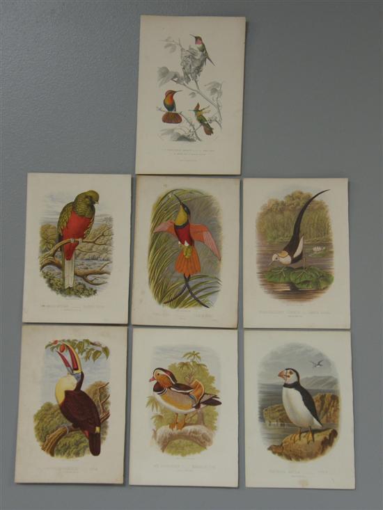 Appraisal: Seven coloured bird prints and various other prints PROVENANCE Thetis