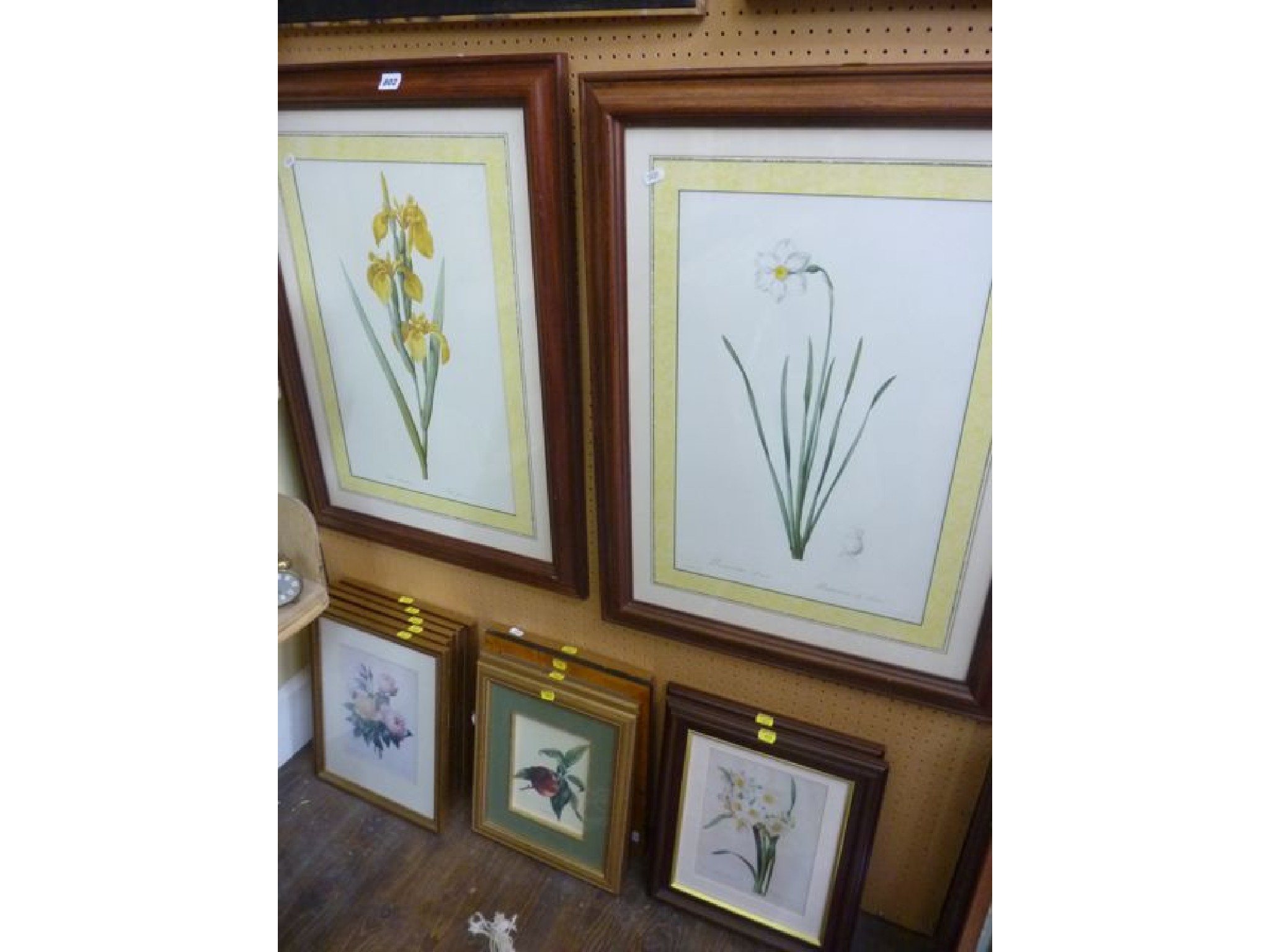 Appraisal: A pair of coloured botanical prints of a narcissus and