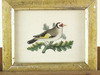 Appraisal: HANDCOLORED STIPPLE ENGRAVINGS - Ornithological Portraits ca s one trimmed